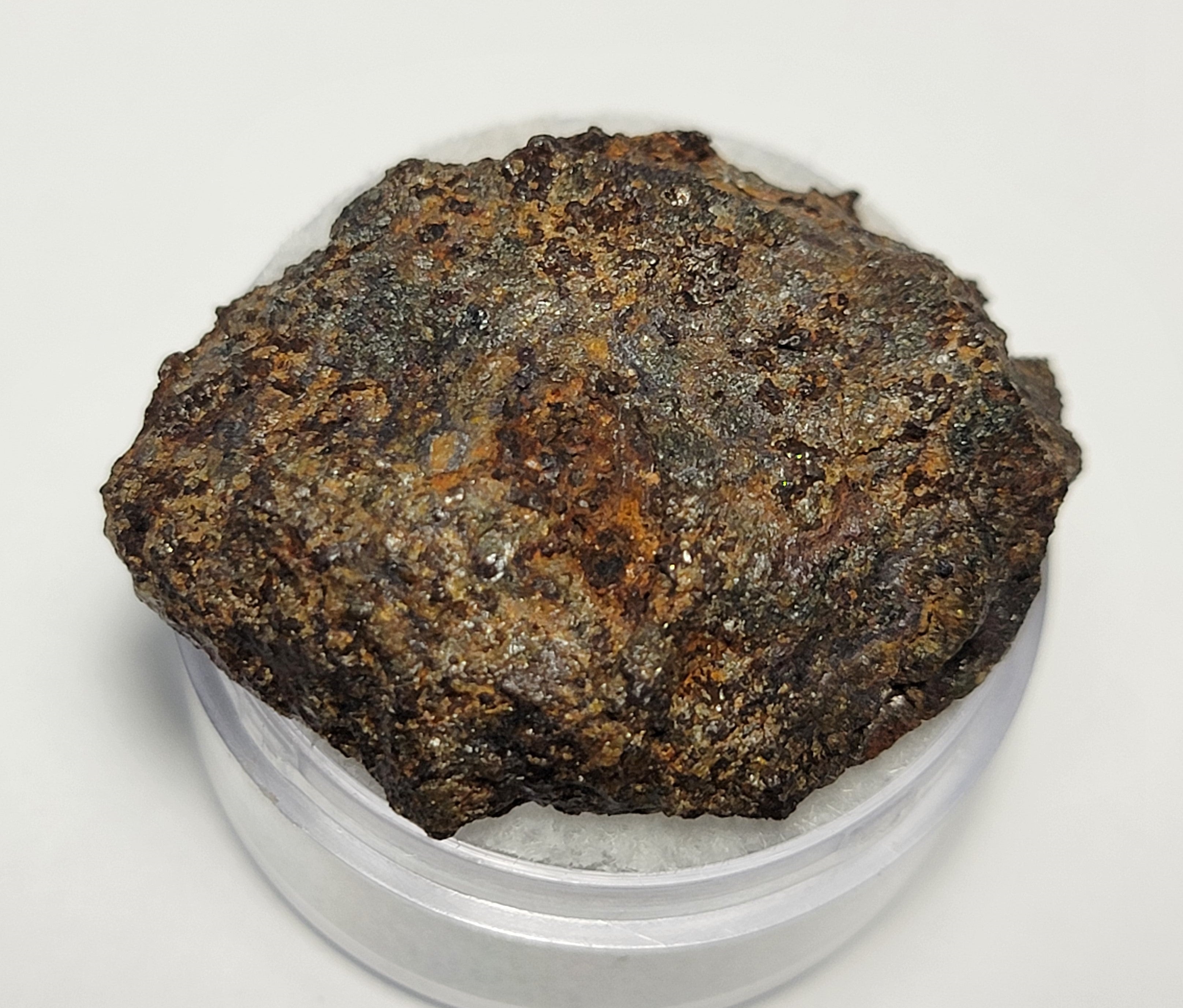 Bondoc Nodule Polished End Cut 15 8g Star Hunter Meteorites