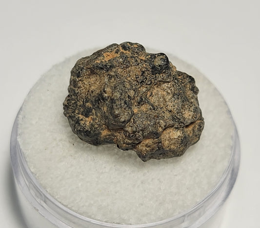 NWA 11421 Lunar Meteorite Individual 2.42g