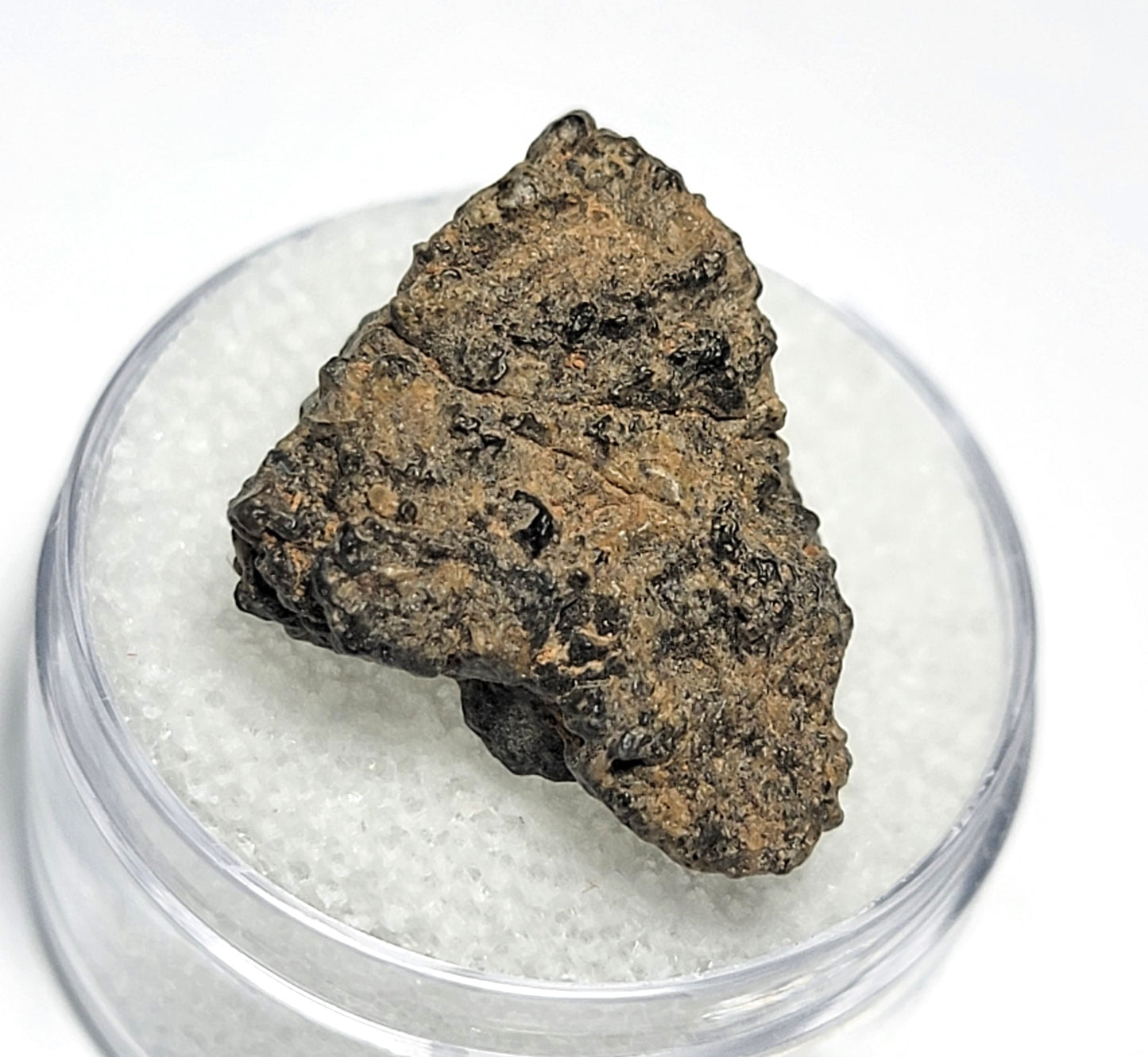 NWA 11788 Lunar Meteorite Individual 3.72g