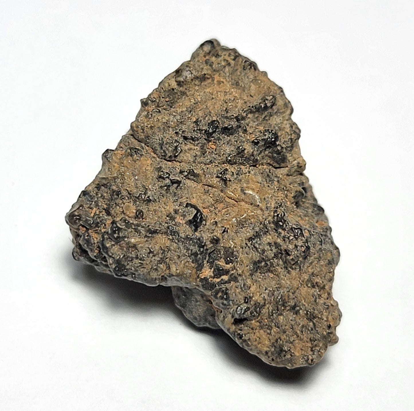 NWA 11788 Lunar Meteorite Individual 3.72g