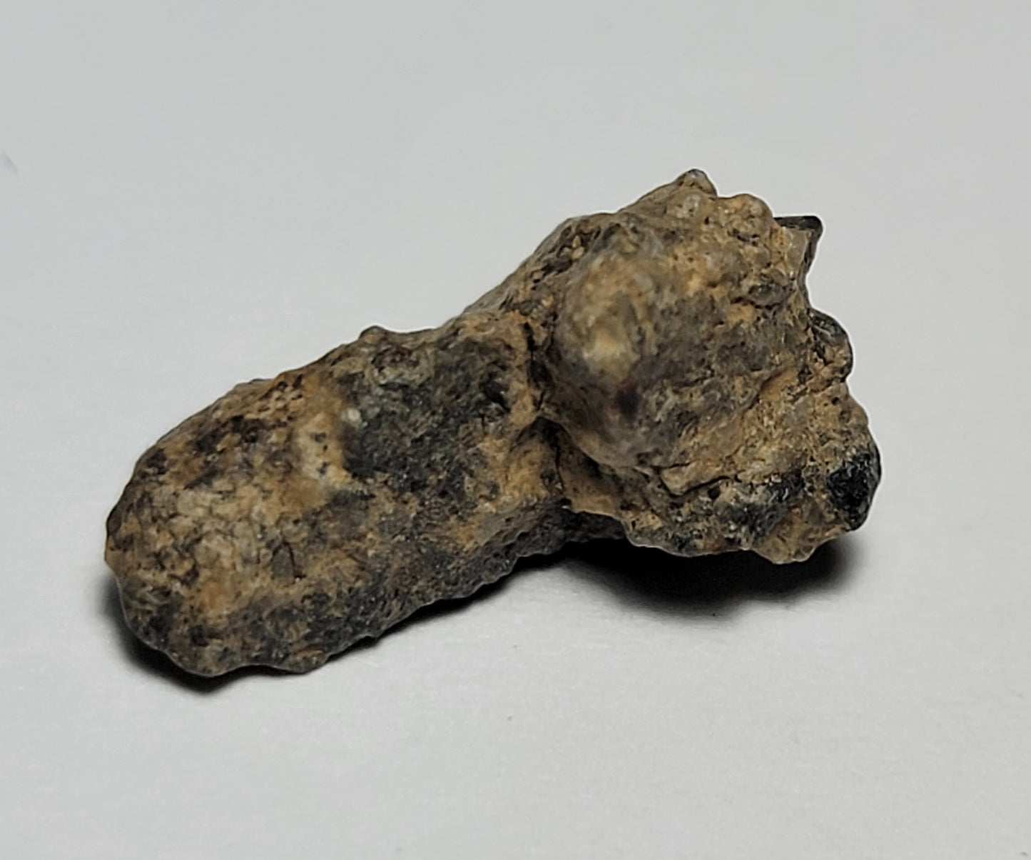 NWA 11273 Individual Lunar Meteorite .98g