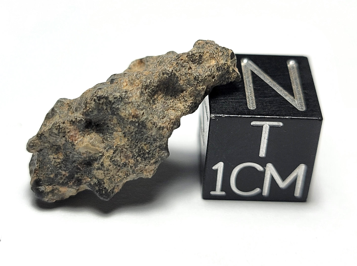 NWA 11788 Lunar Meteorite Individual 2.17g