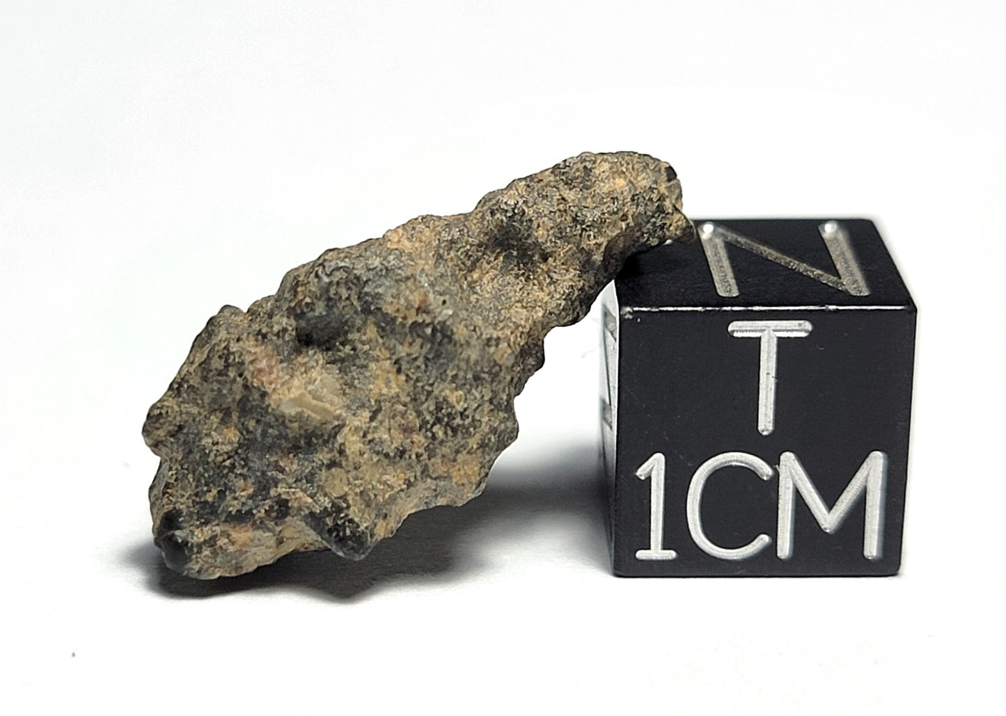 NWA 11788 Lunar Meteorite Individual 2.17g