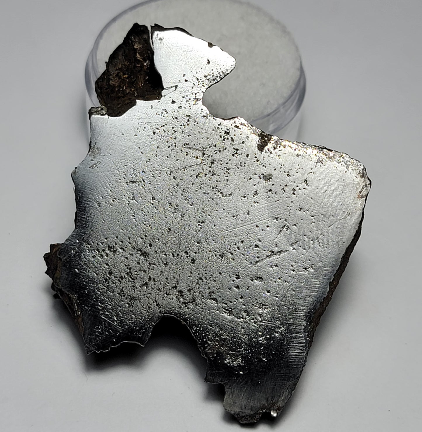 Lake Murray Cut Polished Iron Meteorite - 63g