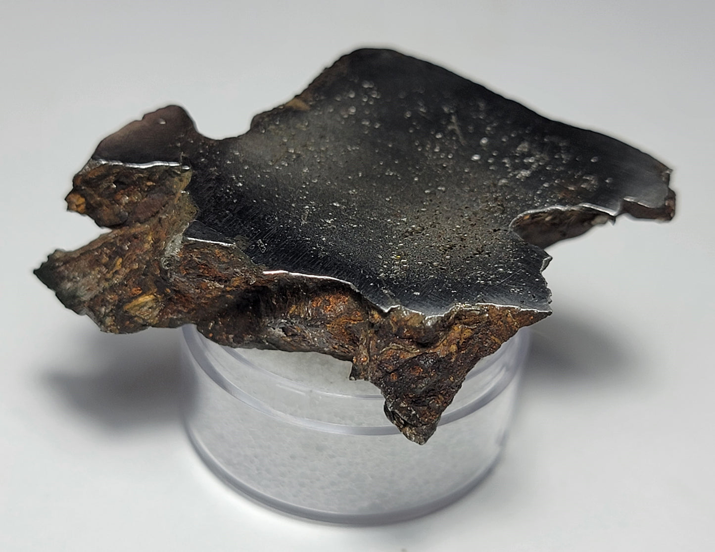 Lake Murray Cut Polished Iron Meteorite - 63g