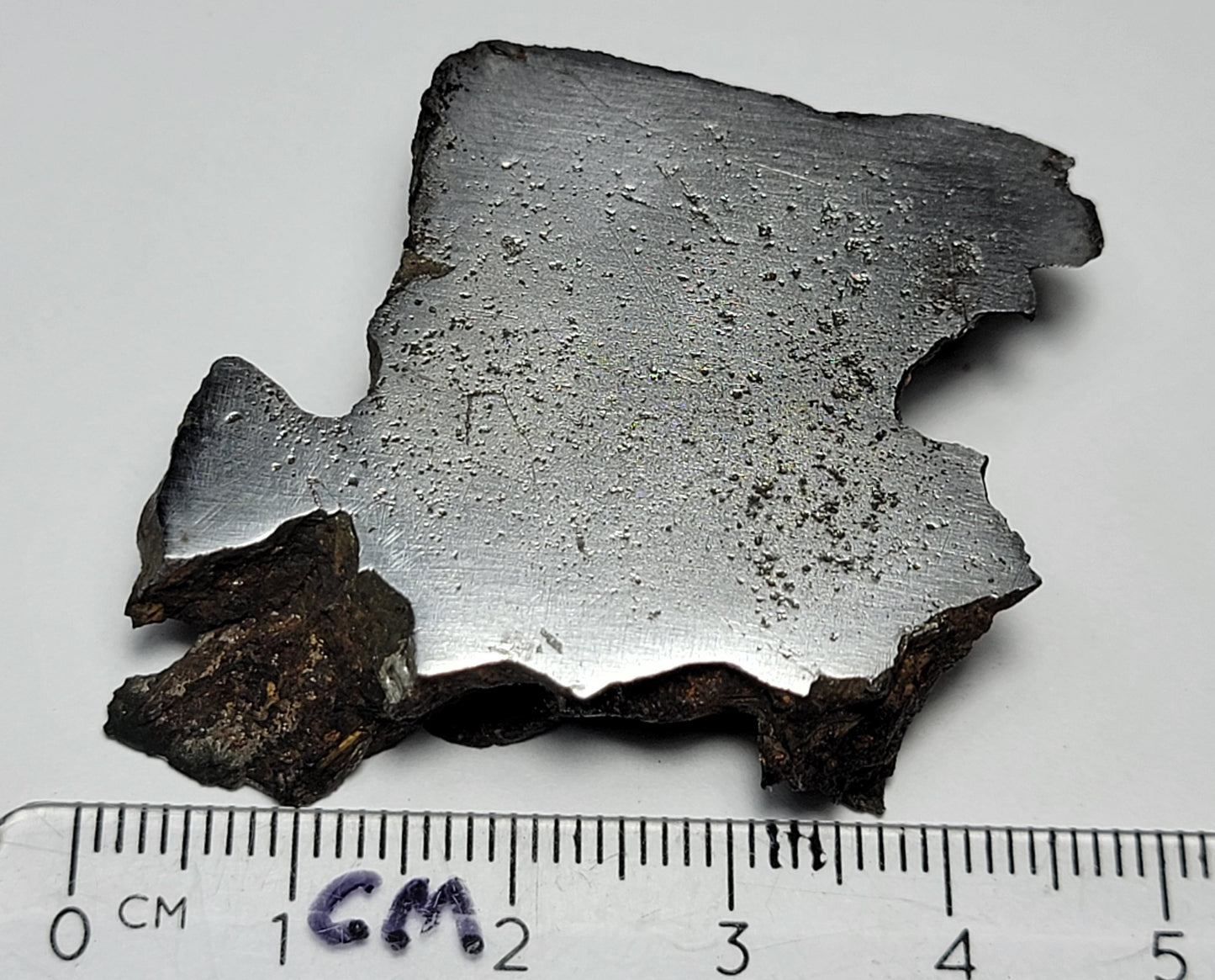 Lake Murray Cut Polished Iron Meteorite - 63g