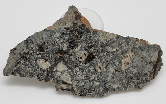 NWA 15376 Meteorite Slice Ordinary Chondrite LL3-6 - 37.15g