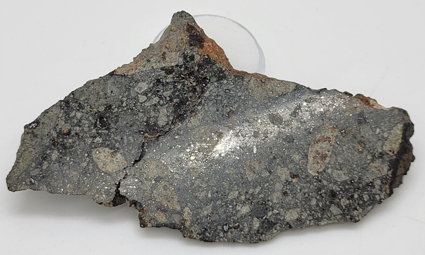 NWA 15376 Meteorite Slice Ordinary Chondrite LL3-6 - 37.15g