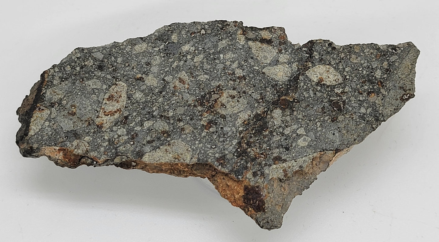 NWA 15376 Meteorite Slice Ordinary Chondrite LL3-6 - 37.15g