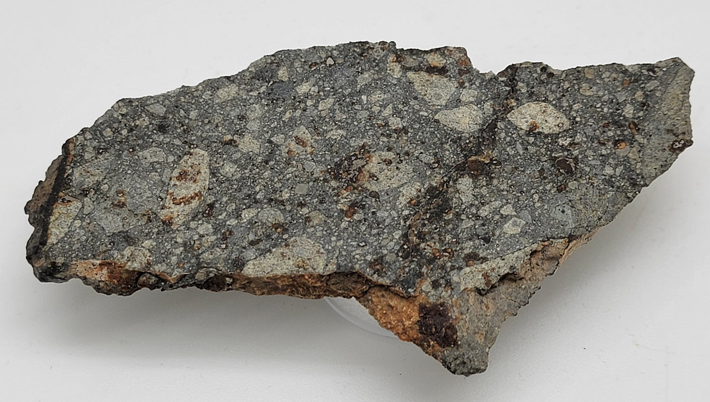 NWA 15376 Meteorite Slice Ordinary Chondrite LL3-6 - 37.15g