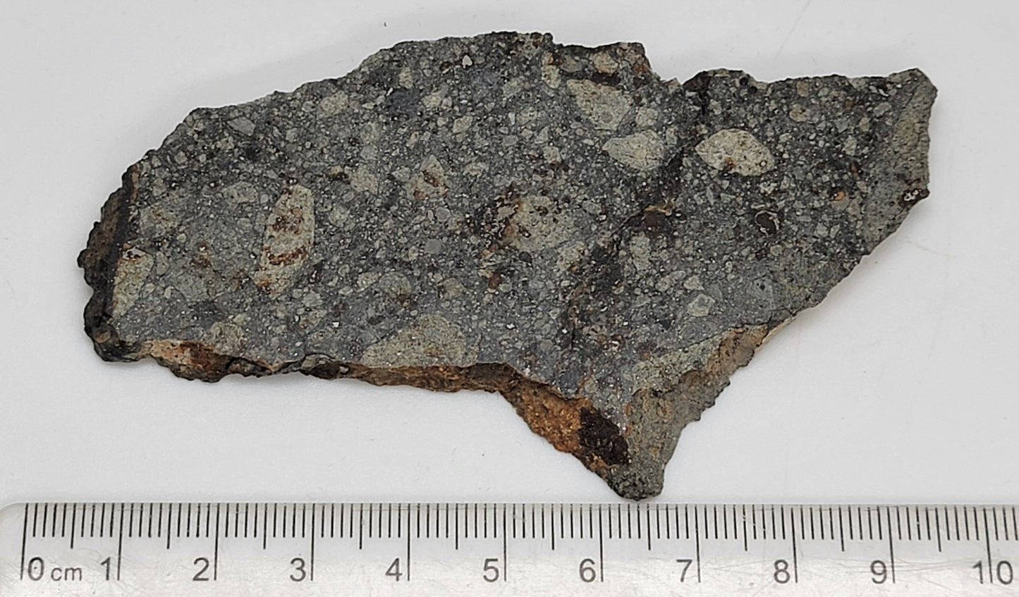 NWA 15376 Meteorite Slice Ordinary Chondrite LL3-6 - 37.15g