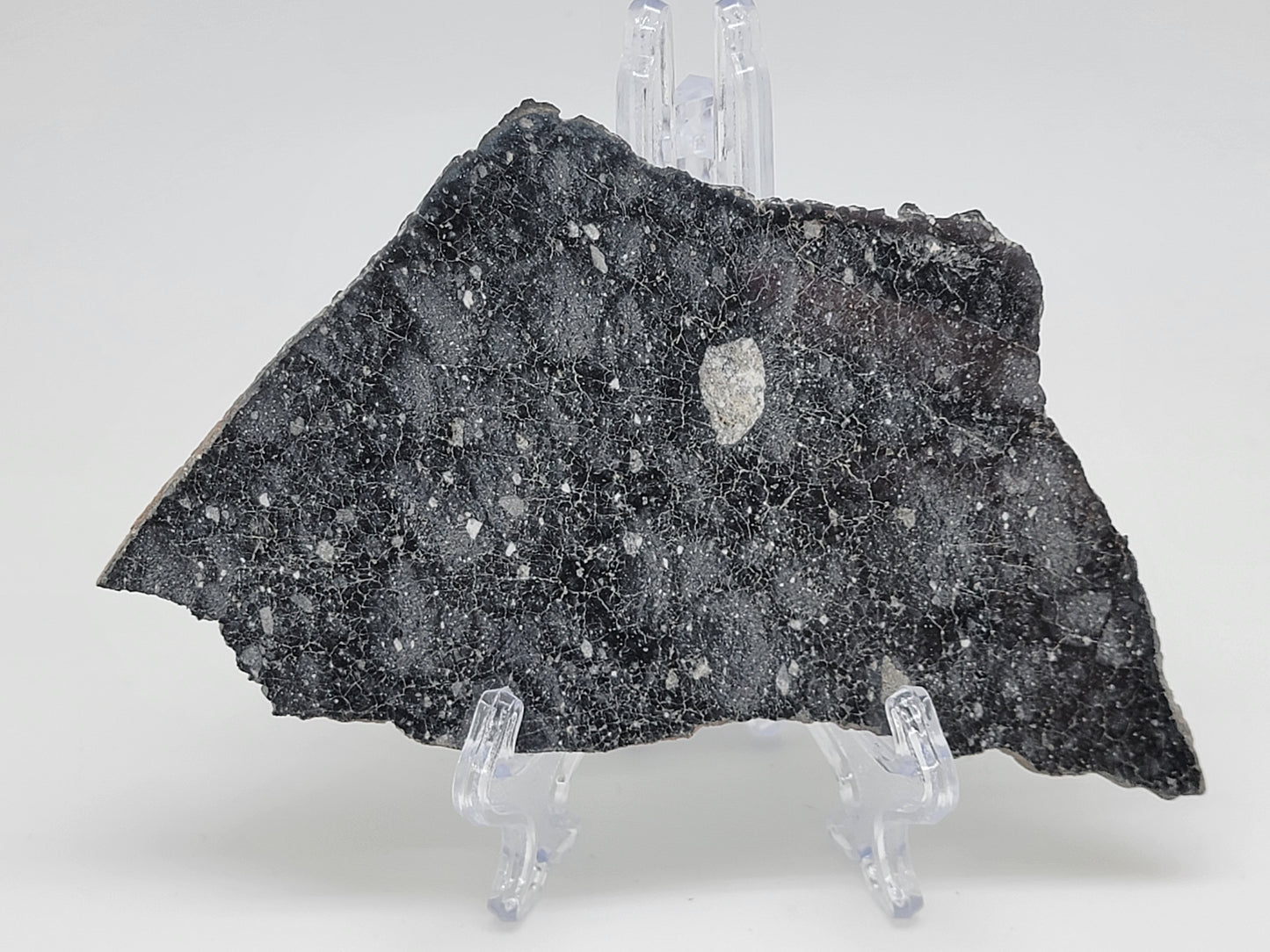 NWA 13951 "Starry Night" Polished Lunar Slice Feldspathic Breccia 44.2g