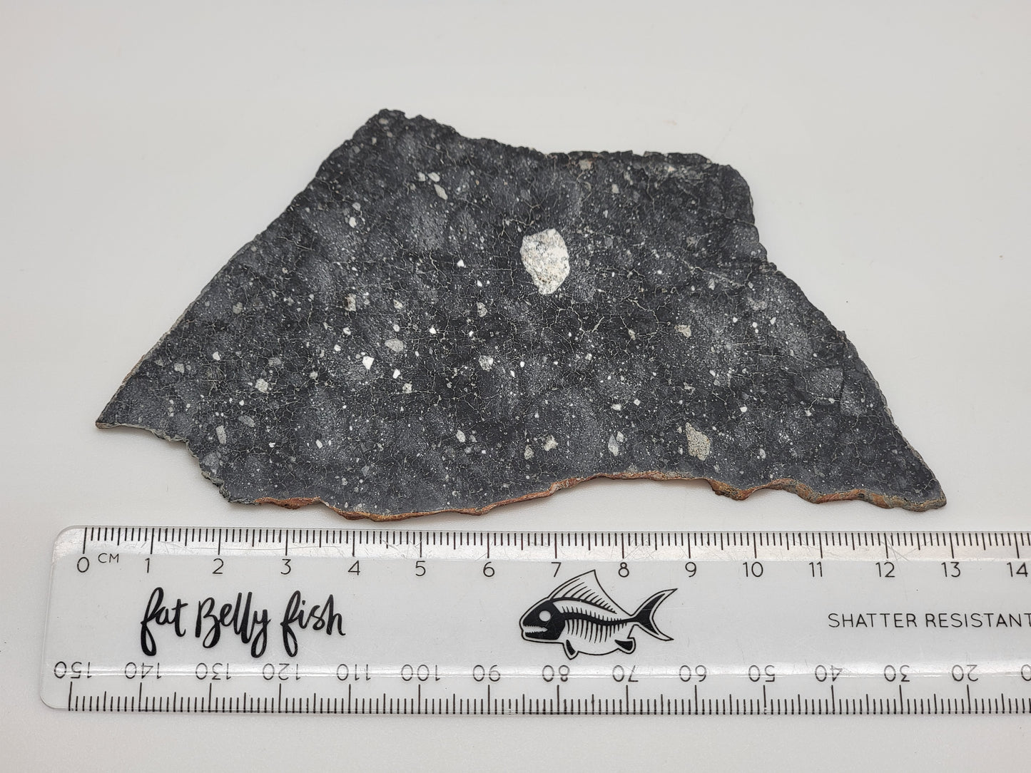 NWA 13951 "Starry Night" Polished Lunar Slice Feldspathic Breccia 44.2g