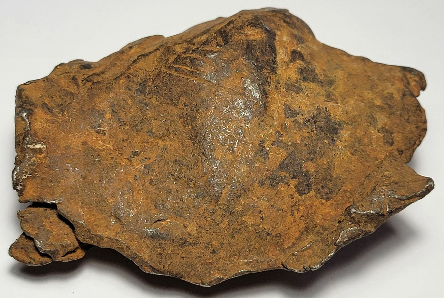 Gebel Kamil "As Found" Egyptian Iron Meteorite 416g