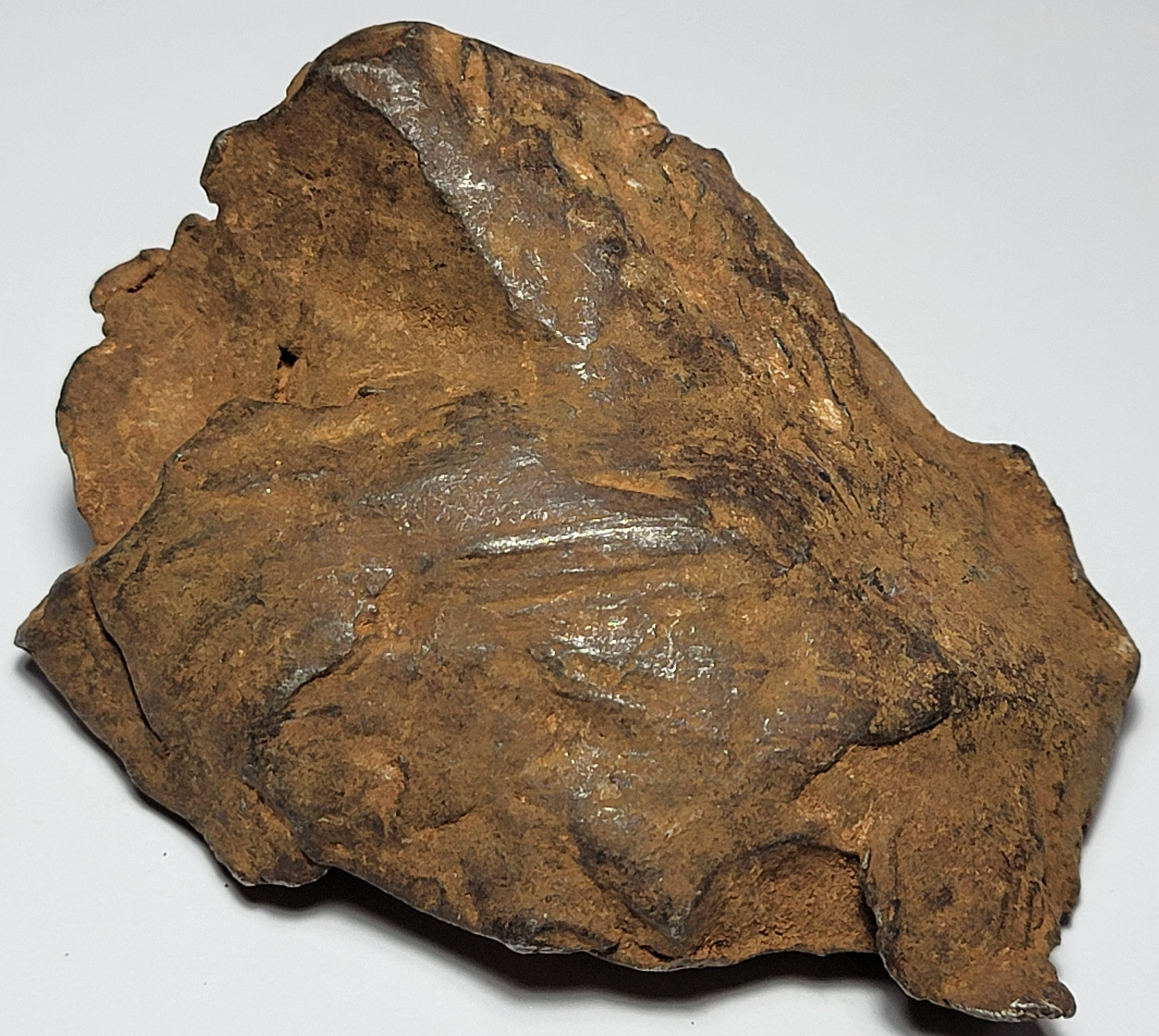 希少 宇宙パワー ゲベルカミル隕石 エジプト Gebel Kamil - インテリア小物