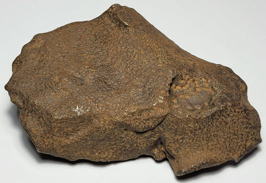 Gebel Kamil "As Found" Egyptian Iron Meteorite 365.2g