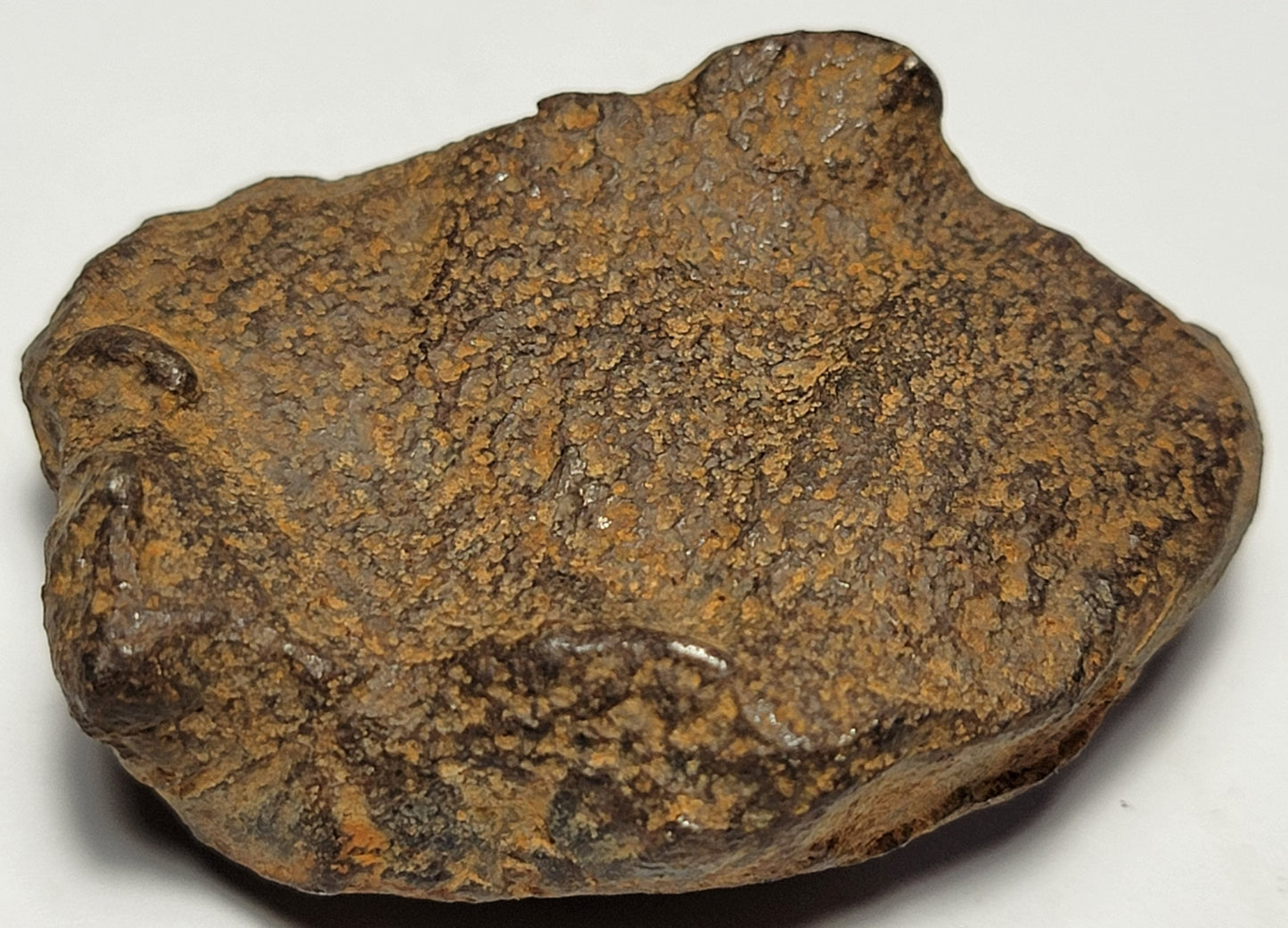 Gebel Kamil "As Found" Egyptian Iron Meteorite 74g