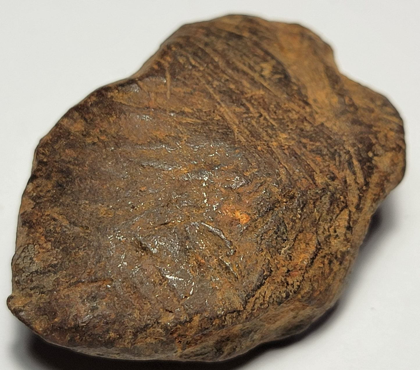 Gebel Kamil "As Found" Egyptian Iron Meteorite 74g