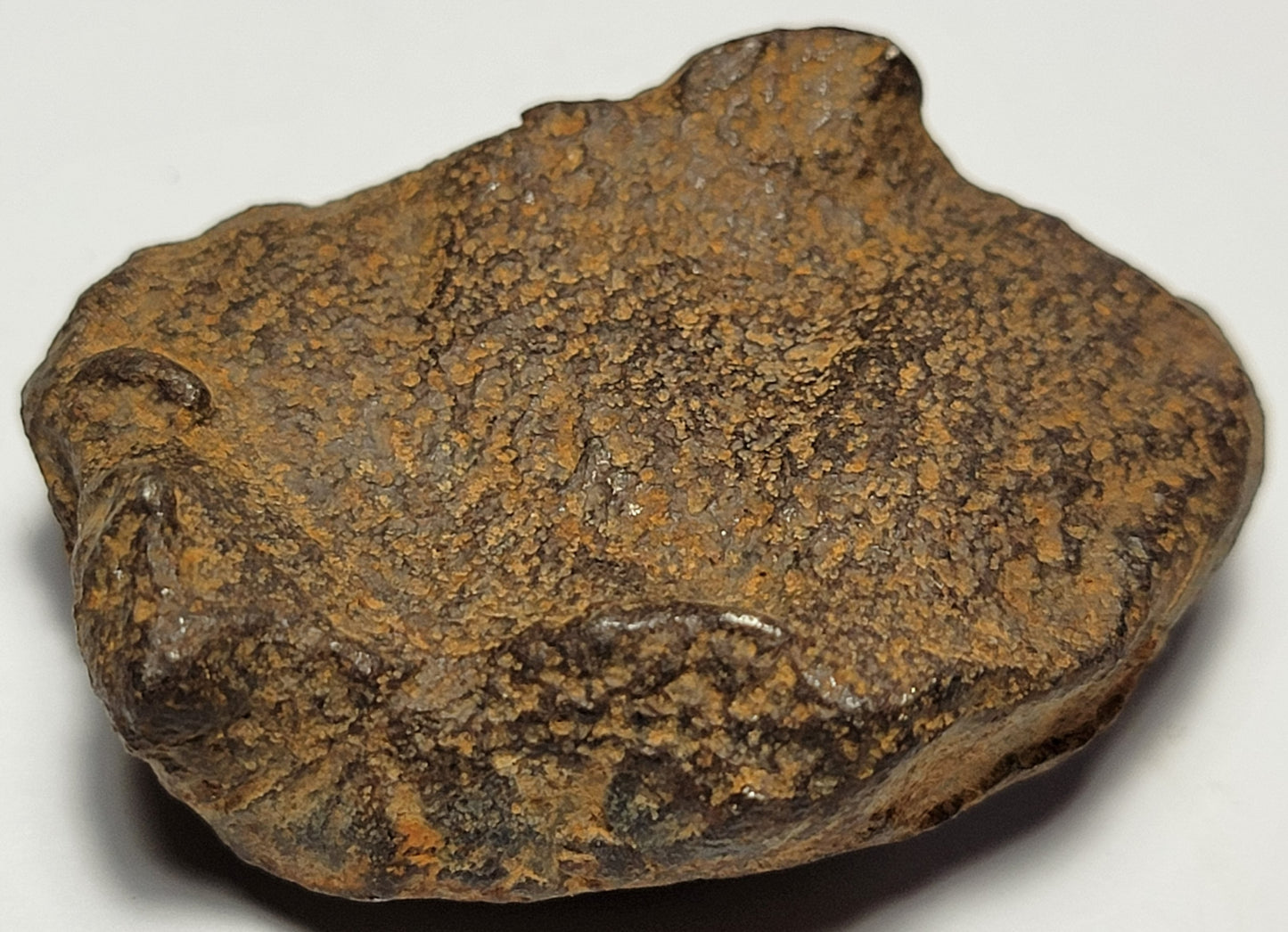 Gebel Kamil "As Found" Egyptian Iron Meteorite 74g