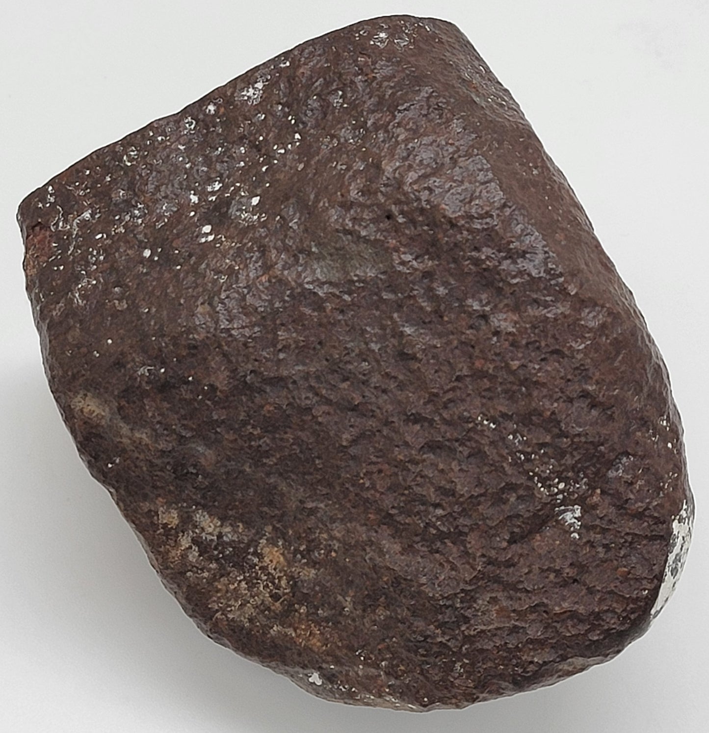 Sahara 99578 Ordinary Chondrite 1470g Main Mass with Polished Window