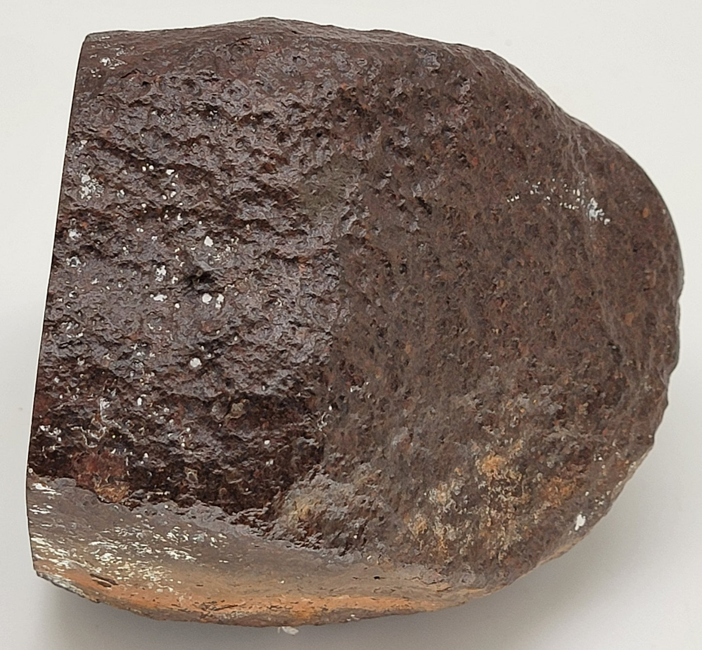 Sahara 99578 Ordinary Chondrite 1470g Main Mass with Polished Window