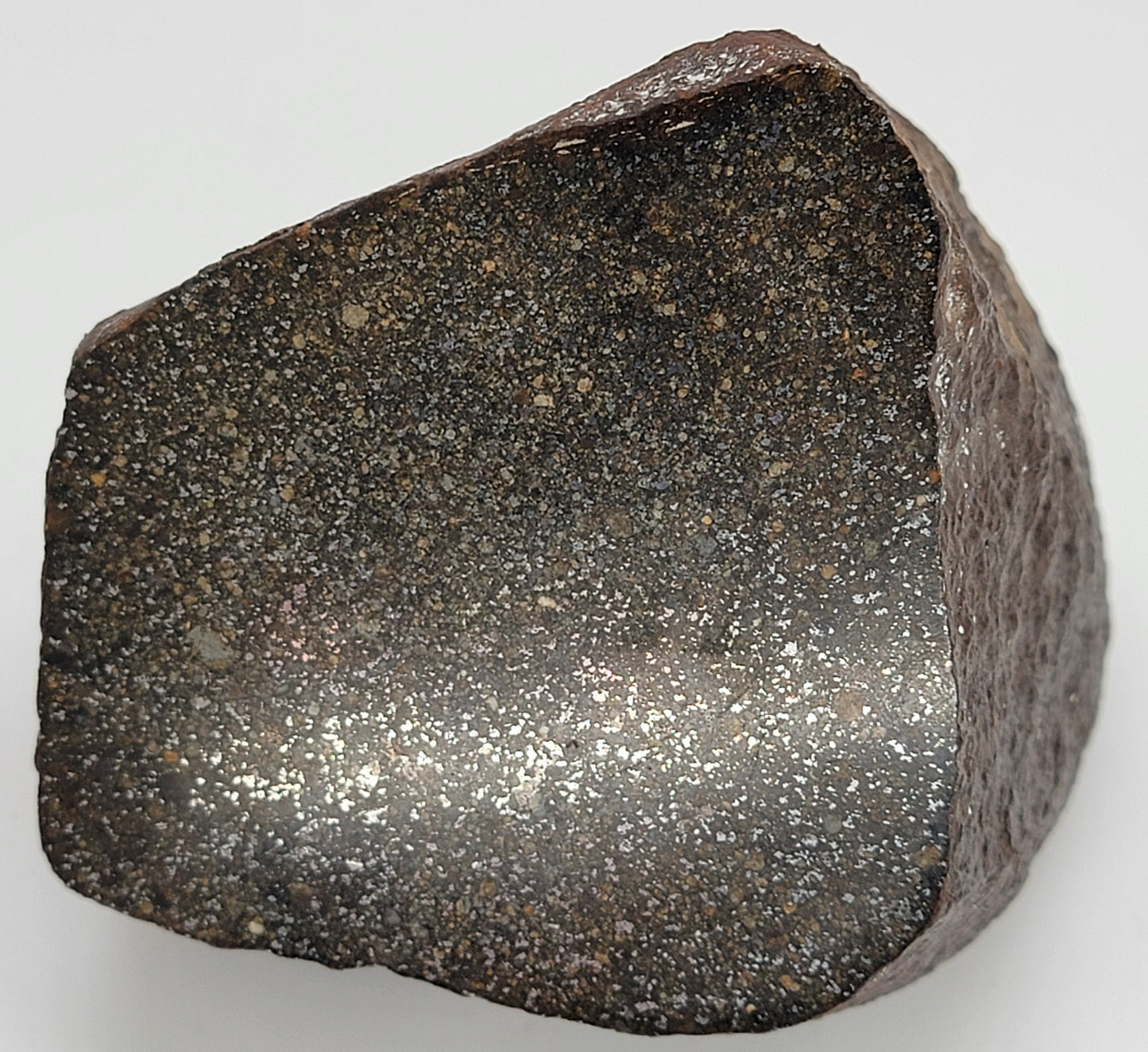 Sahara 99578 Ordinary Chondrite 1470g Main Mass with Polished Window