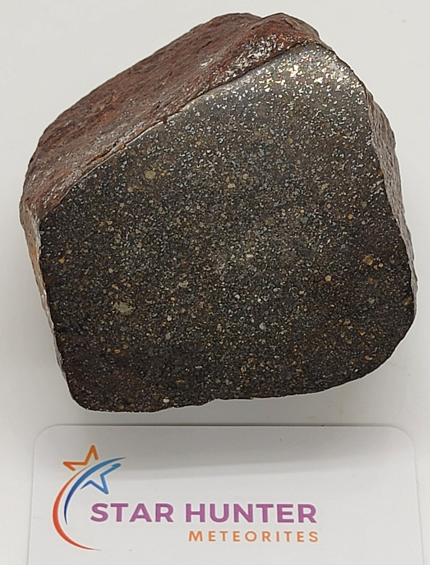 Sahara 99578 Ordinary Chondrite 1470g Main Mass with Polished Window