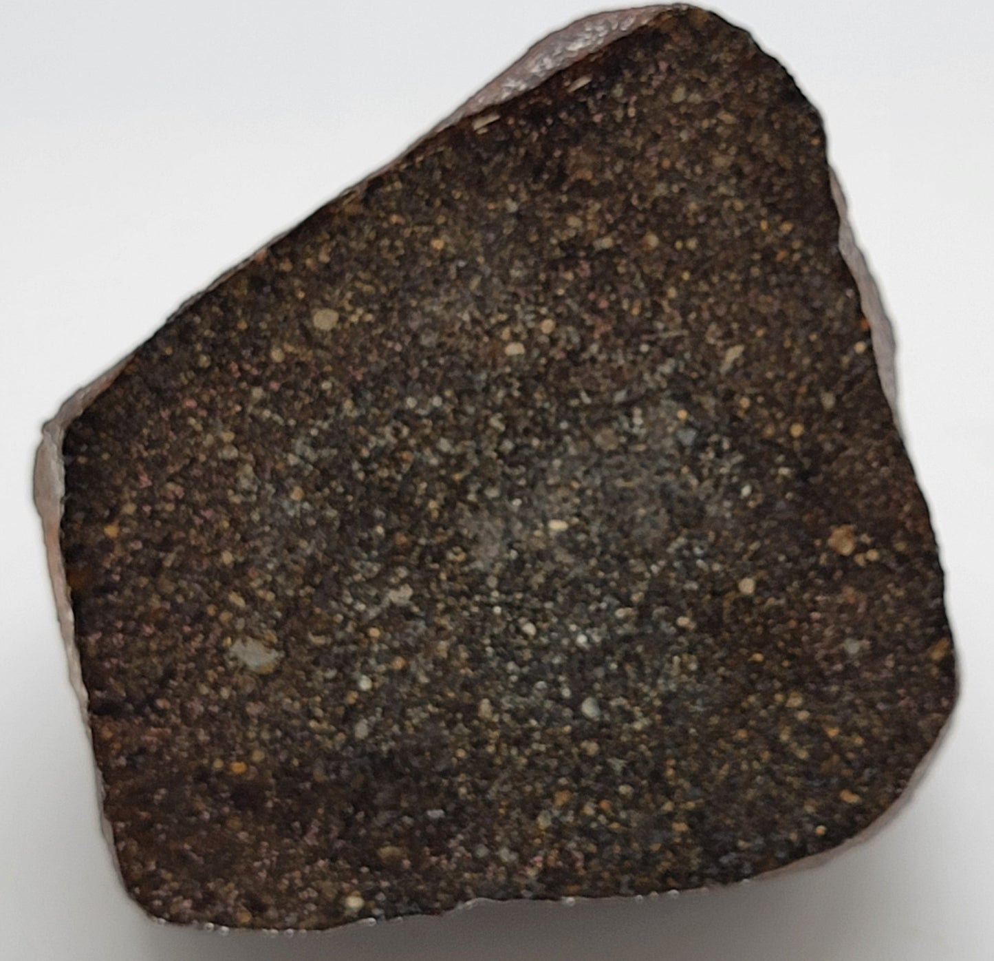 Sahara 99578 Ordinary Chondrite 1470g Main Mass with Polished Window