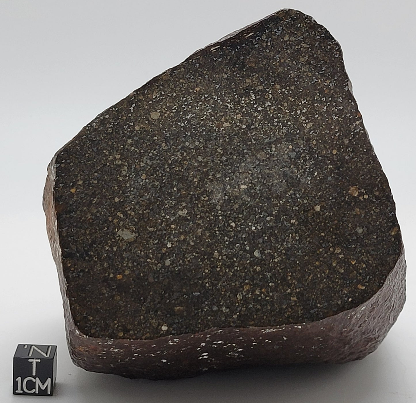 Sahara 99578 Ordinary Chondrite 1470g Main Mass with Polished Window