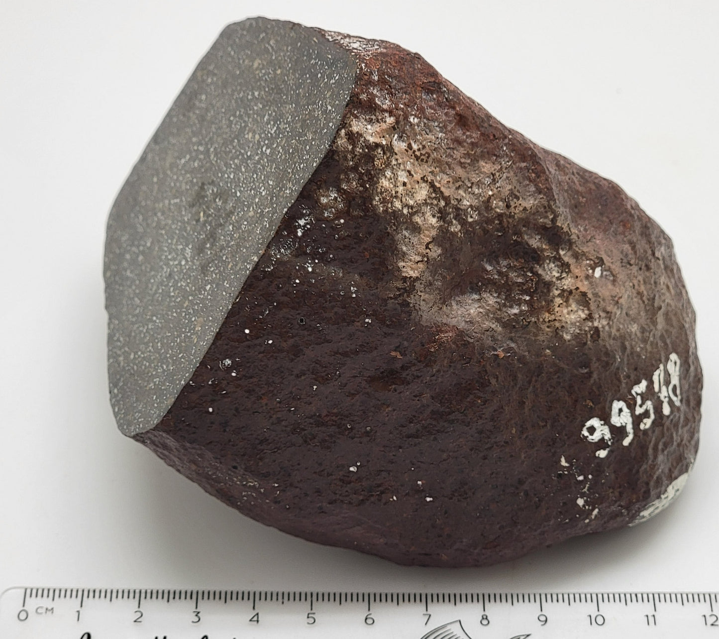 Sahara 99578 Ordinary Chondrite 1470g Main Mass with Polished Window