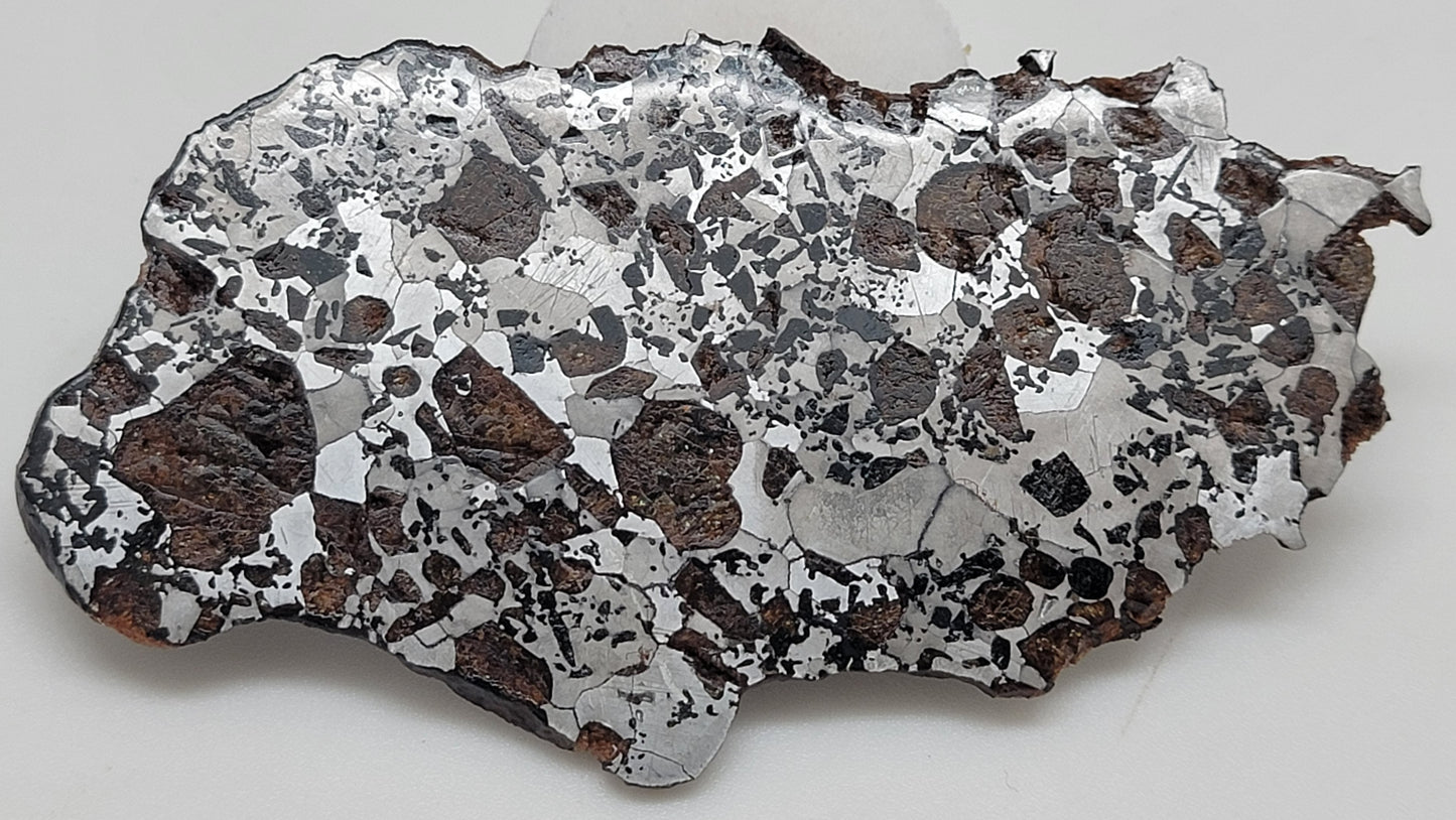 Hassi el Biod 002 Polished Slice 28.3 grams RARE Ungrouped Pallasite Meteorite