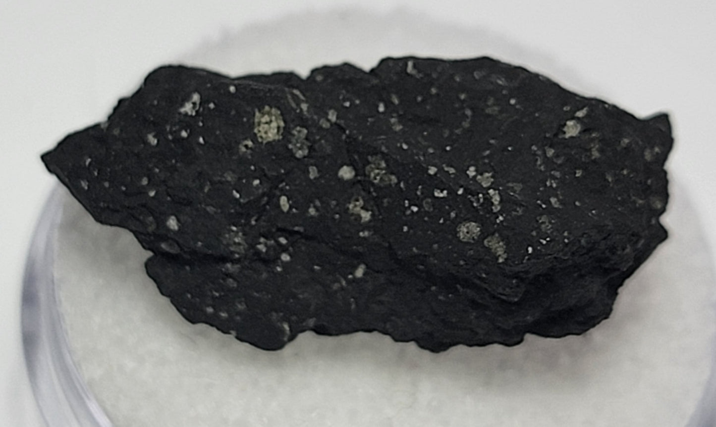 Crusted Tarda Carbonaceous Chondrite C2 Ung. 2.89g