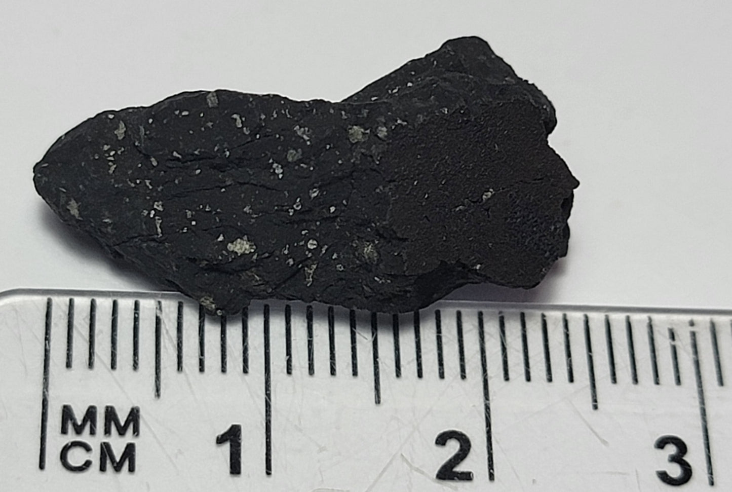 Crusted Tarda Carbonaceous Chondrite C2 Ung. 2.89g