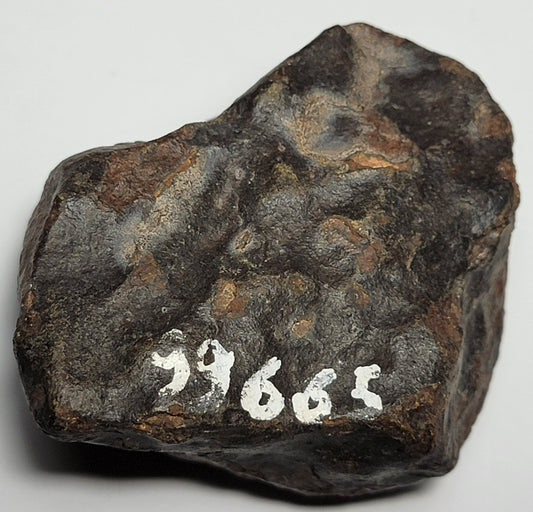 Sahara 99665 Single Stone Find - 151.9g