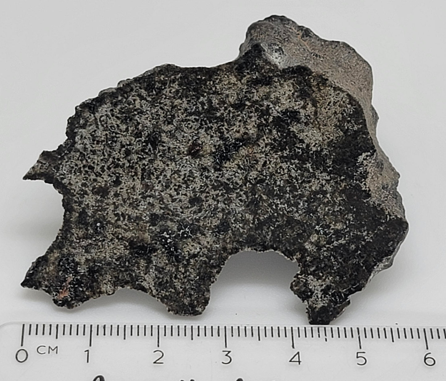 NWA 14714 Shergottite Martian Polished Meteorite End Cut - 55.4g