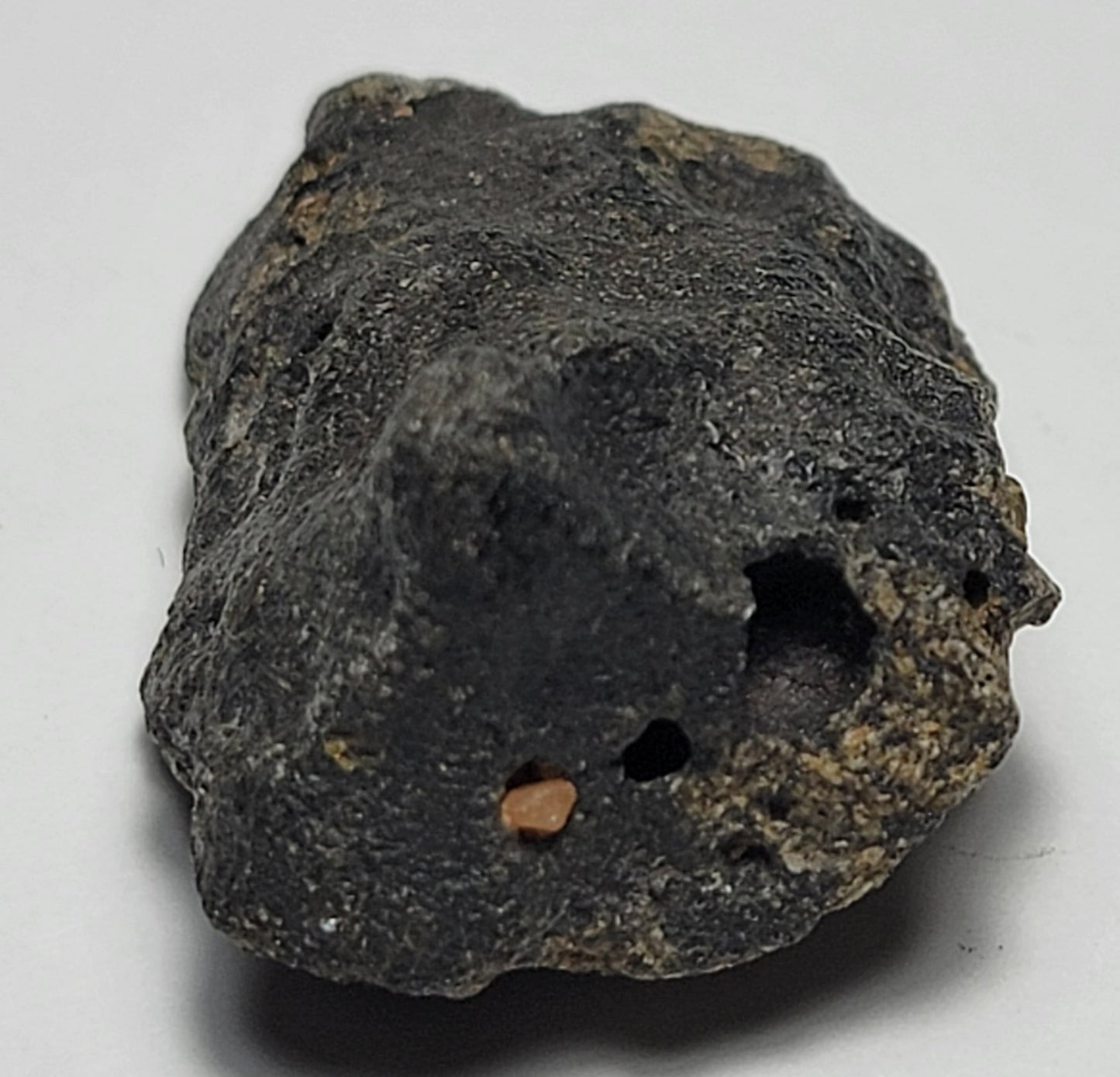 Oued Namous 001 Angrite Individual Meteorite with Crust 11.8g