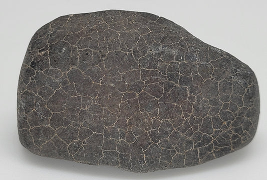 Hammadah al Hamra 346 "Ghadamis" Chondrite L6 Crusted Individual Meteorite - 63.6g