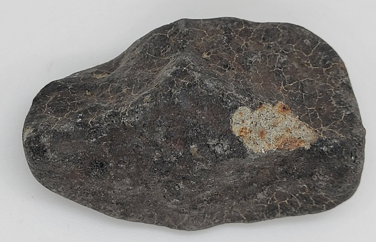 Hammadah al Hamra 346 "Ghadamis" Chondrite L6 Crusted Individual Meteorite - 63.6g