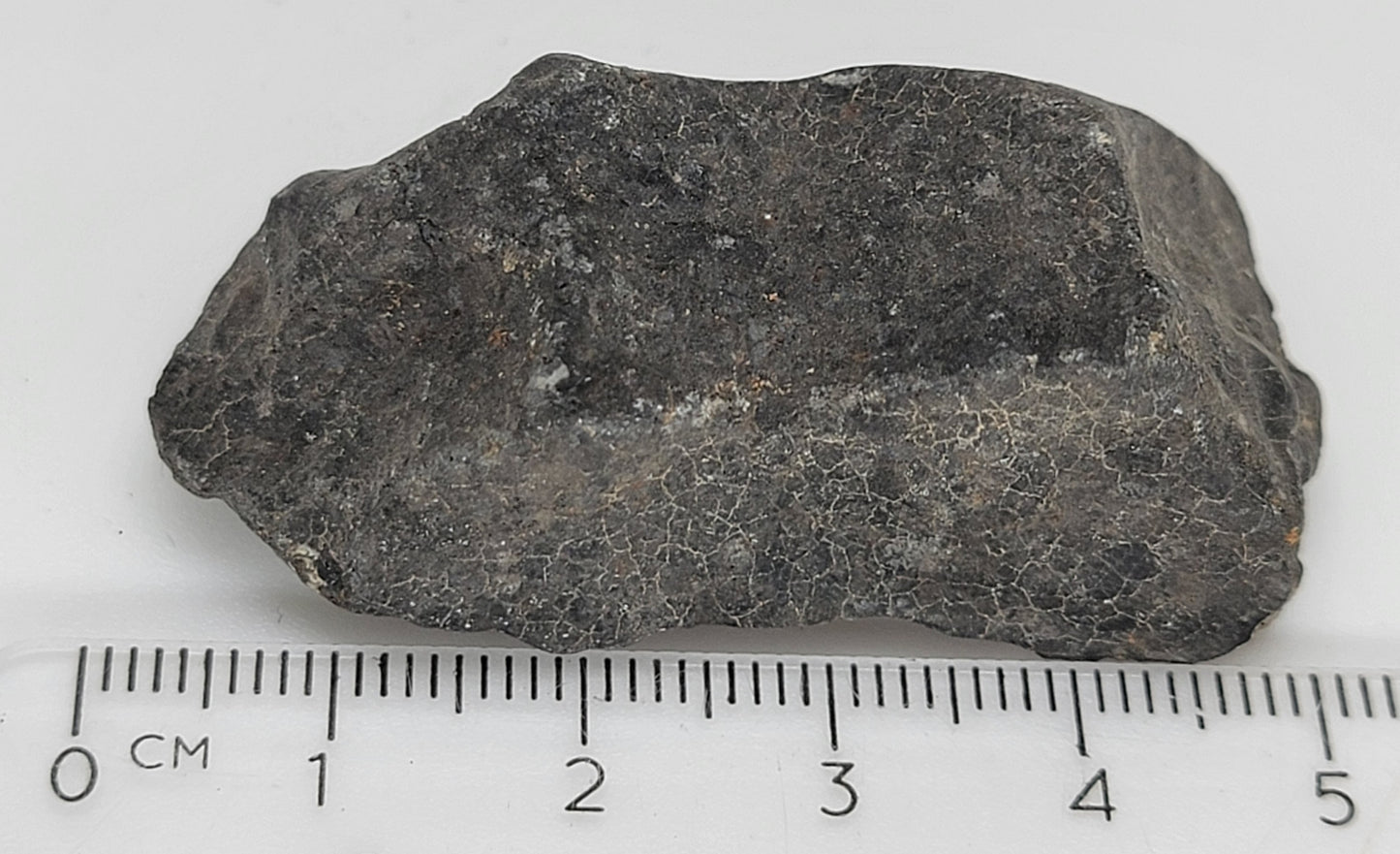 Hammadah al Hamra 346 "Ghadamis" Chondrite L6 Crusted Individual Meteorite - 37.3g