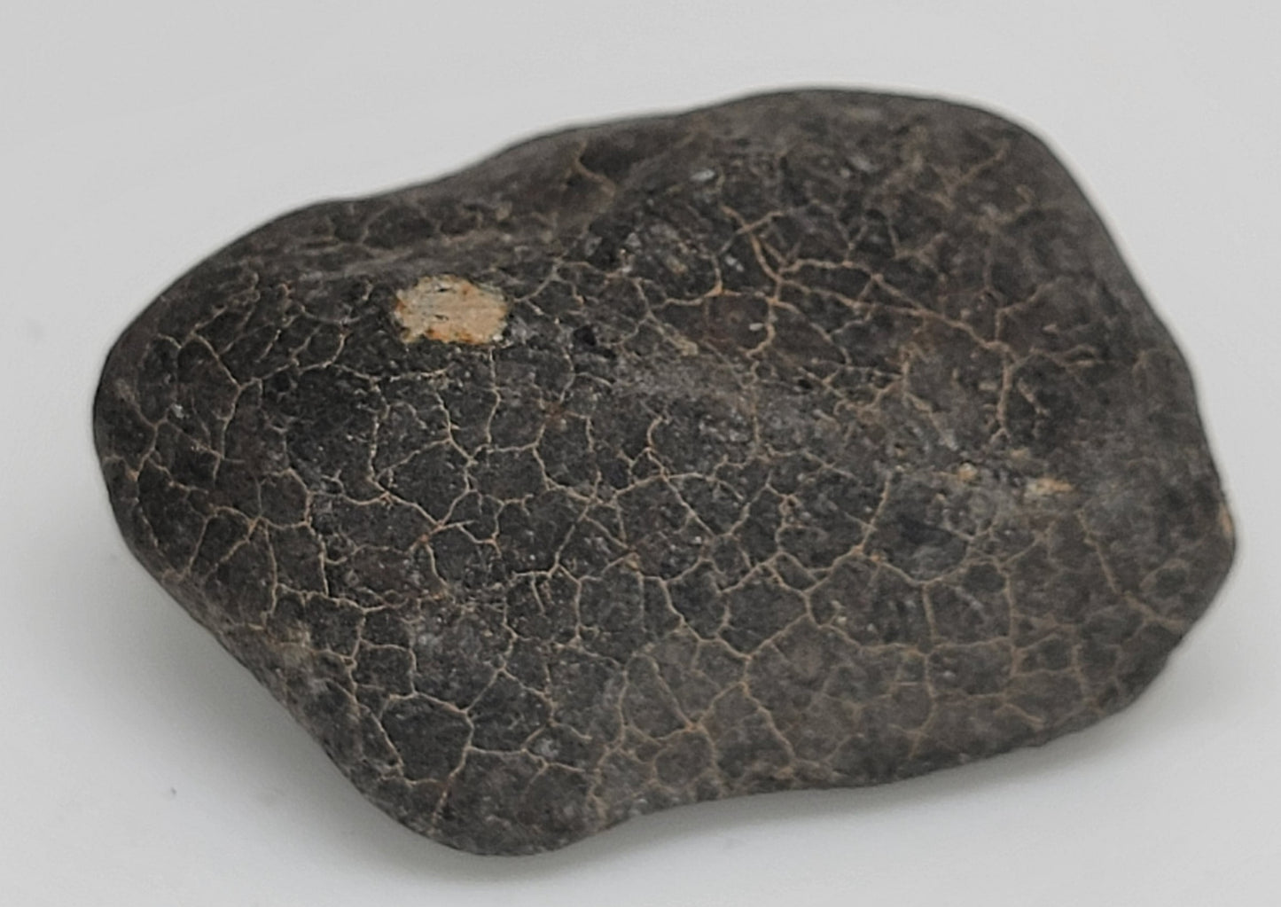 Hammadah al Hamra 346 "Ghadamis" Chondrite L6 Crusted Individual Meteorite - 42.2g