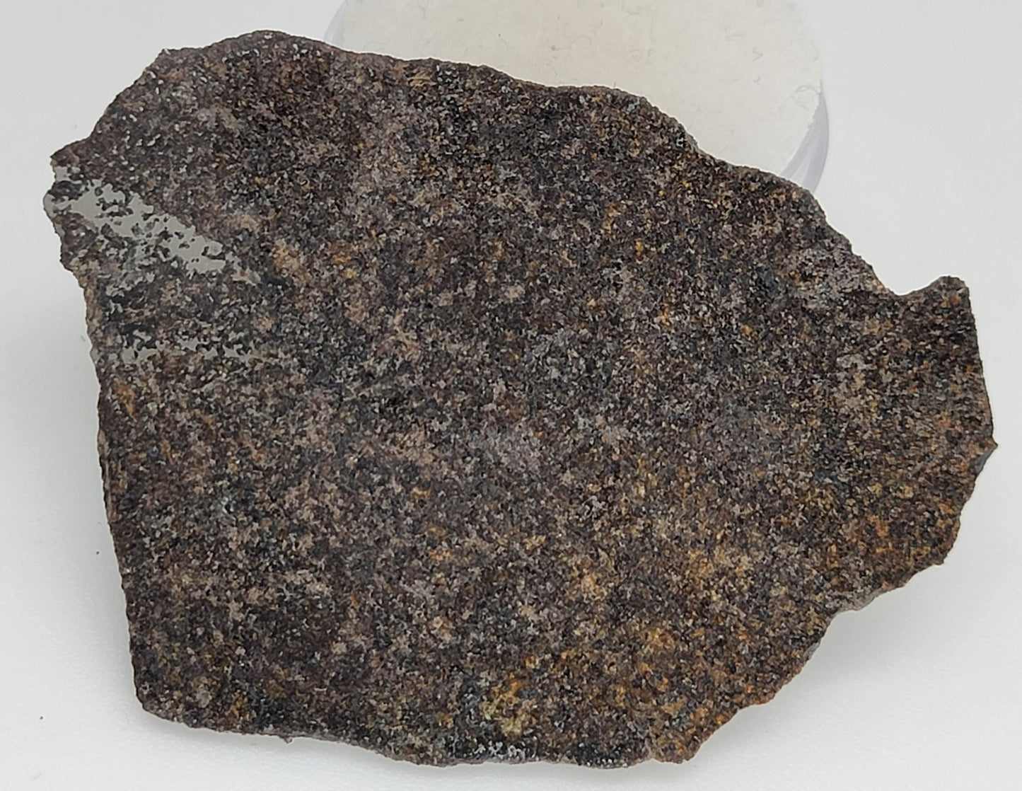 Punggur Polished Slice Meteorite - Witnessed Fall from Indonesia - H7 Melt Breccia - 9.6g