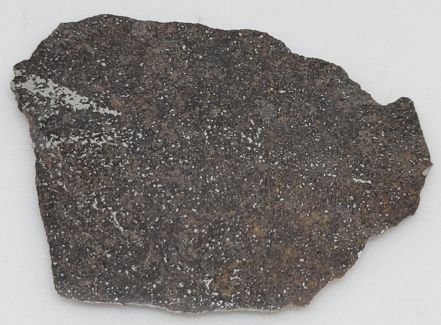 Punggur Polished Slice Meteorite - Witnessed Fall from Indonesia - H7 Melt Breccia - 9.6g