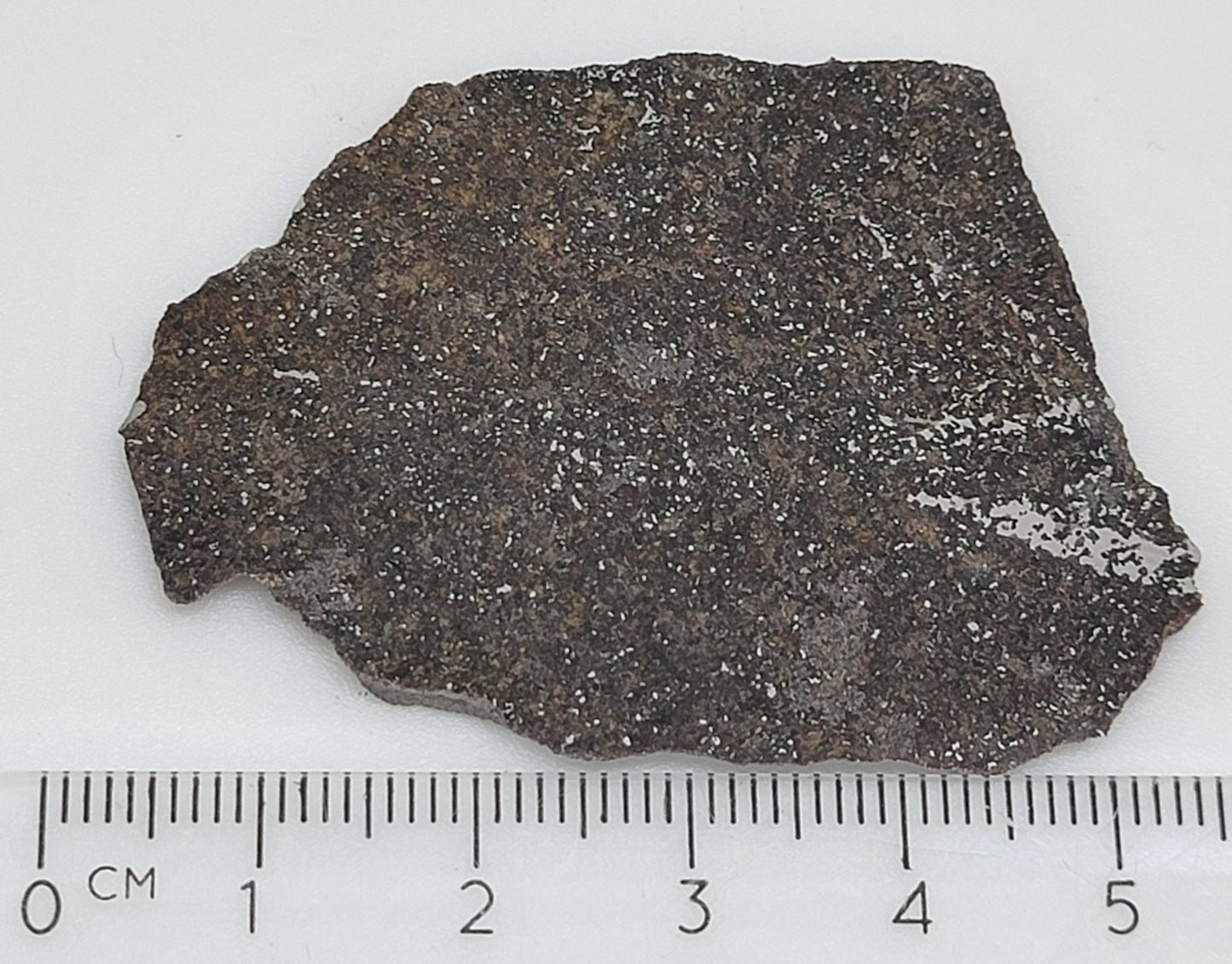 Punggur Polished Slice Meteorite - Witnessed Fall from Indonesia - H7 Melt Breccia - 9.6g