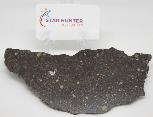 NWA 14659 Meteorite Slice Ordinary Chondrite LL3 - 124.8g