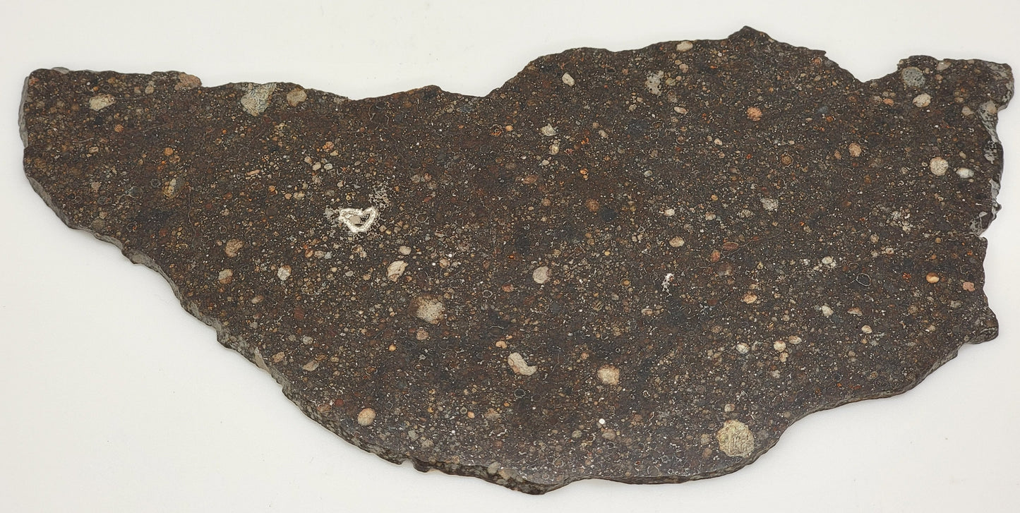 NWA 14659 Meteorite Slice Ordinary Chondrite LL3 - 124.8g