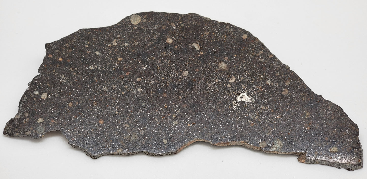 NWA 14659 Meteorite Slice Ordinary Chondrite LL3 - 124.8g