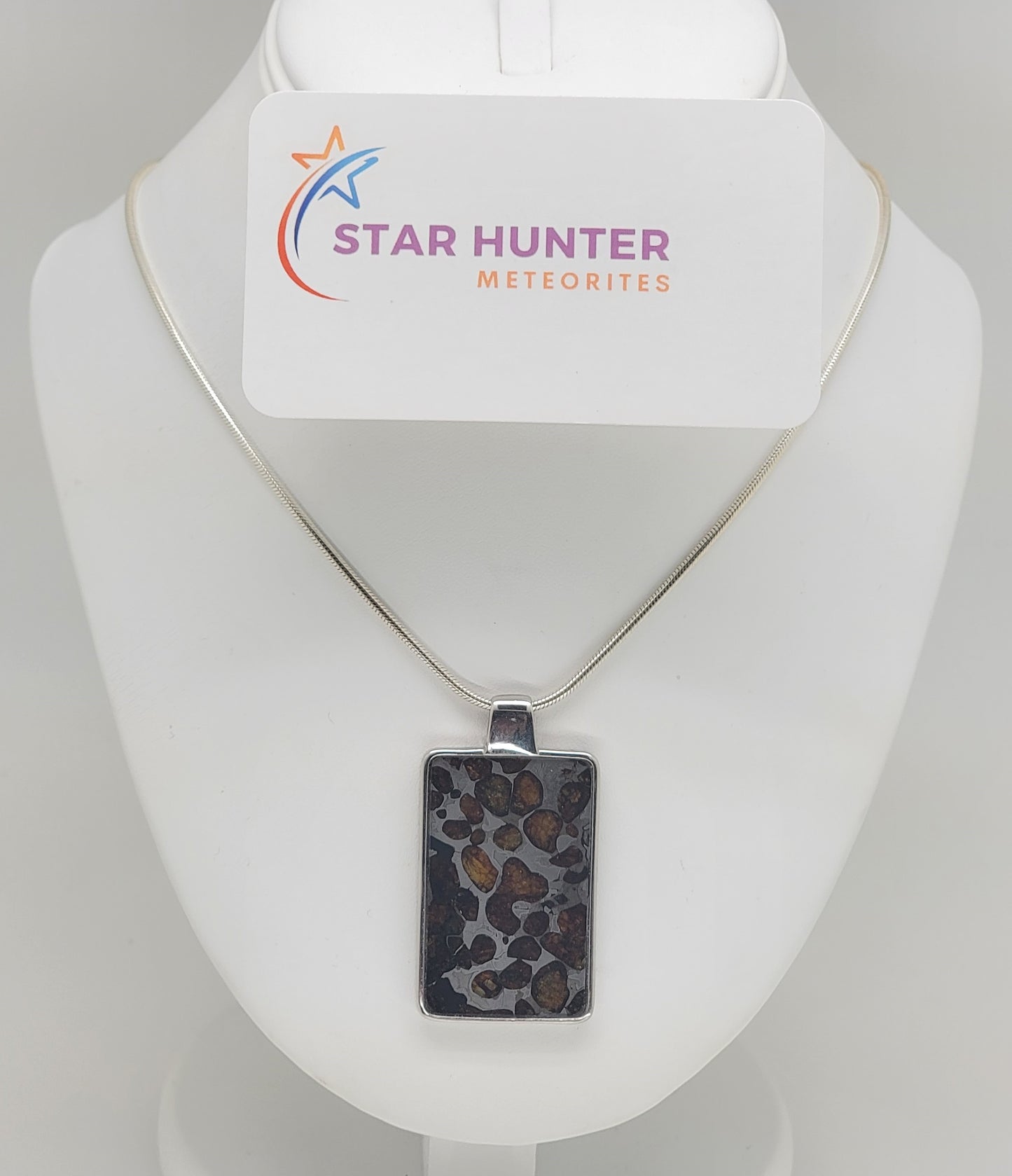 Sericho Pallasite Meteorite Sterling Silver Necklace - 15.8g