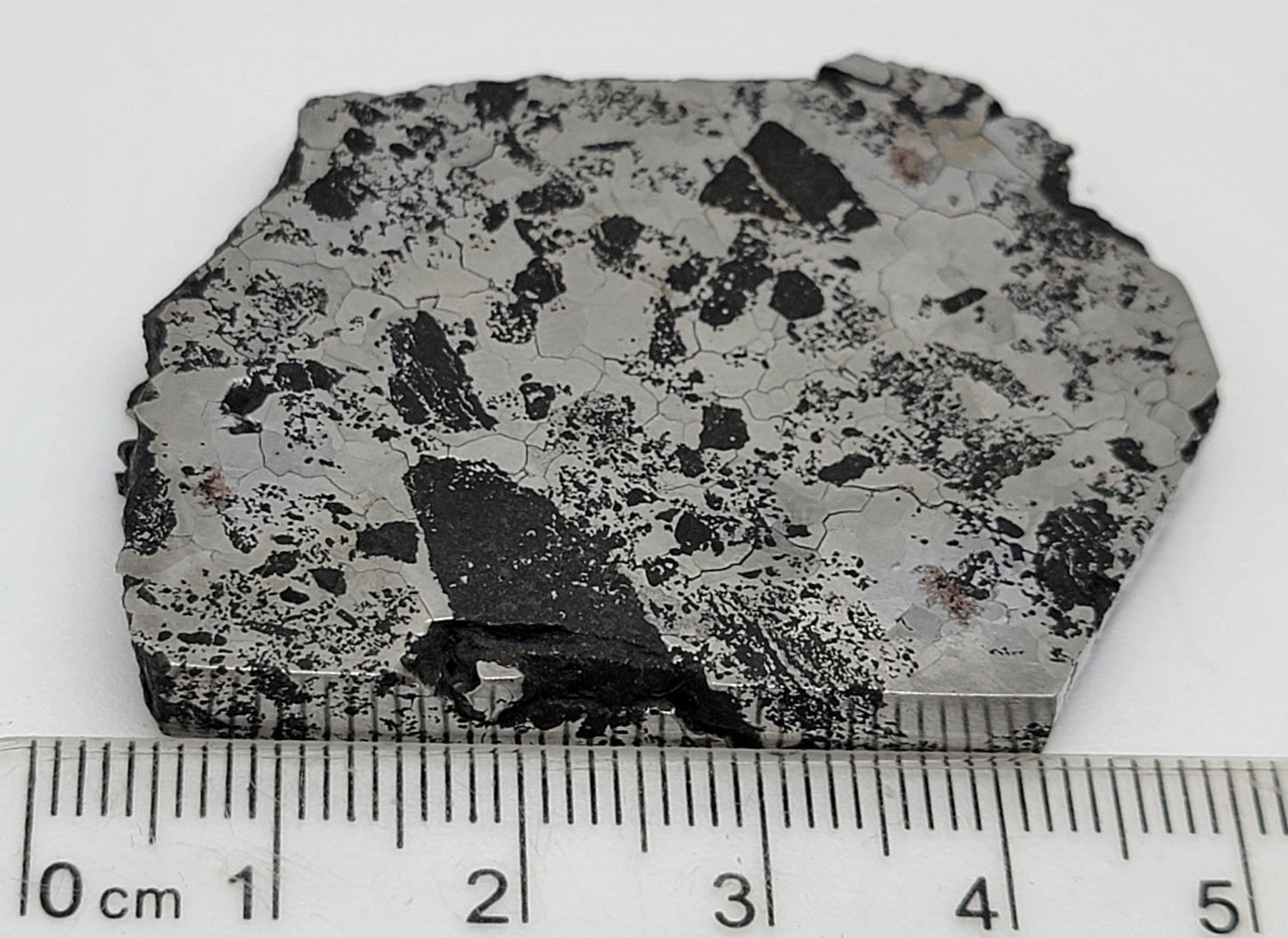 Lueders Silicate Iron (IAB) Meteorite Slice - 49.9g - Texas, USA