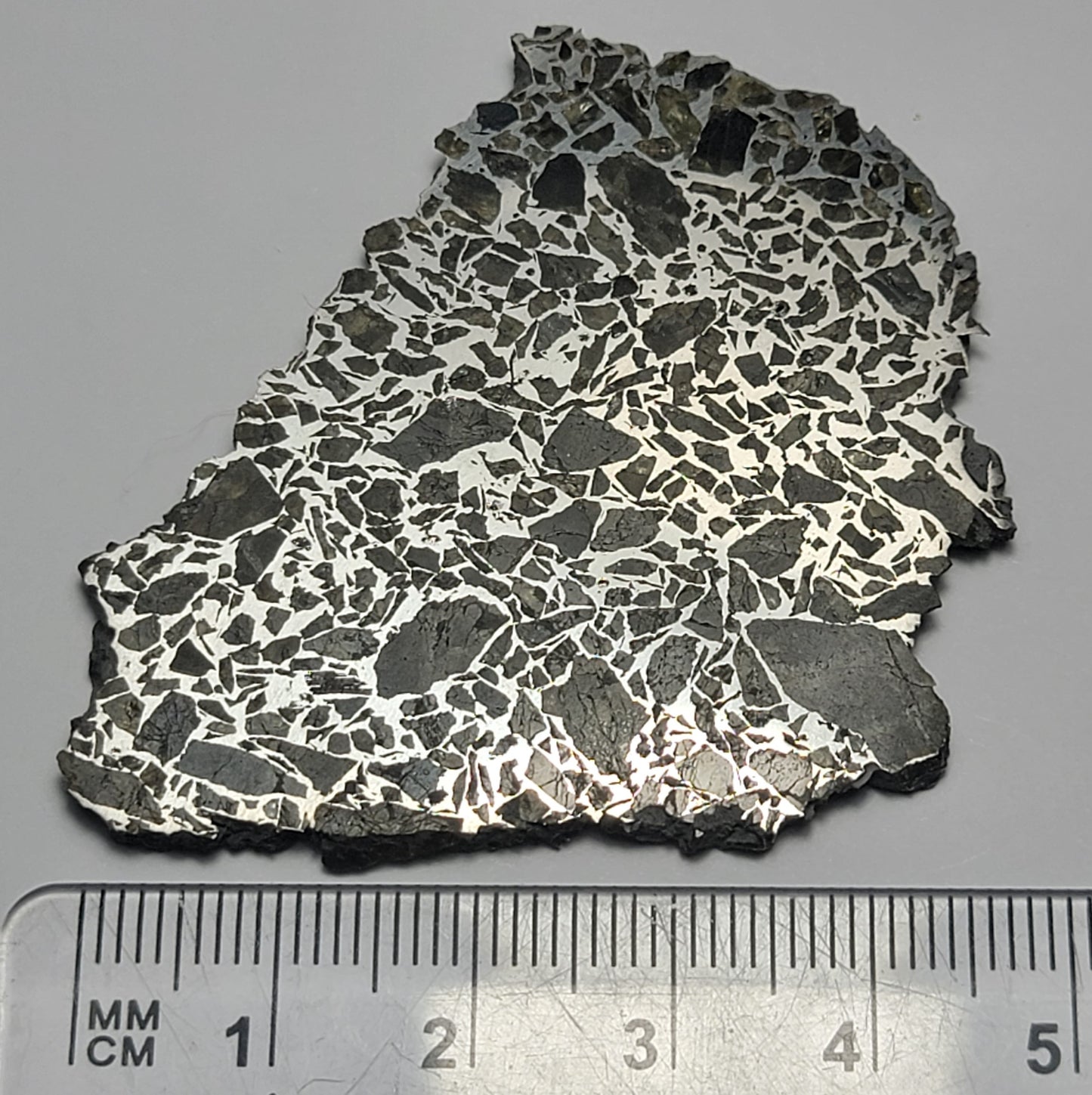 Shirokovsky Russian Pseudo Pallasite Meteorite Slice - 17.25g