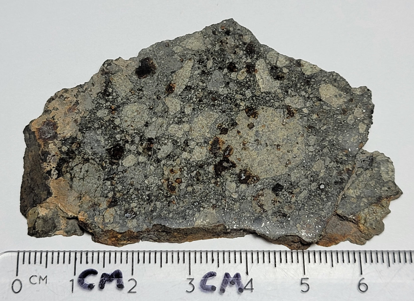 NWA 15376 Meteorite Sliced Fragment Ordinary Chondrite LL3-6 - 24.29g